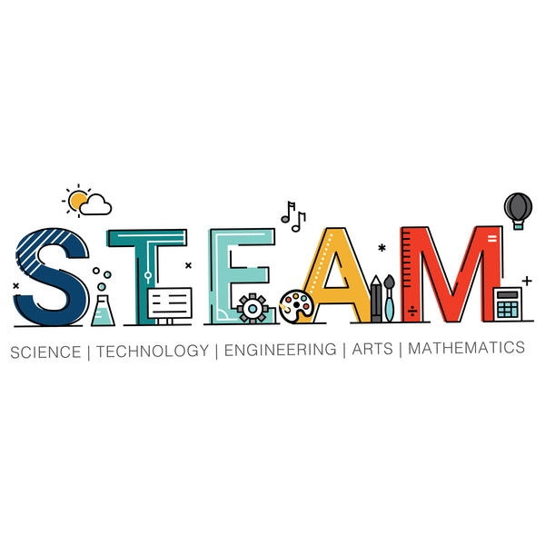 Steam system of learning and cognivity